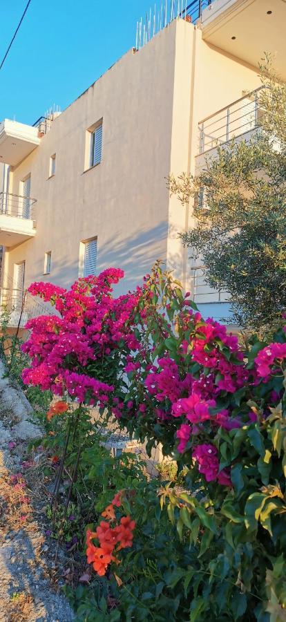 Apartamento Apollon's